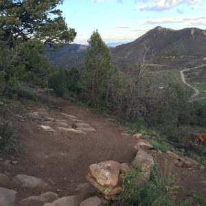 Brian Welsh photo of Sugar Trail in Horse Gulch