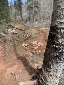 first-fork-trail-report-durango-trails-may-2021-1