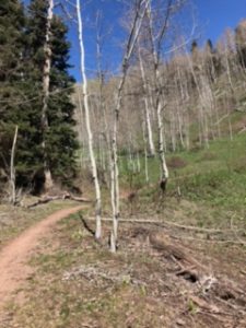 high-point-trip-report-durango-trails-may-2021-1