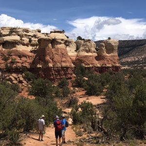 Sand Canyon Trail (Canyons of the Ancients  National Monument) 08.01.22